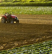 國(guó)民經(jīng)濟(jì) | 農(nóng)業(yè)技術(shù)體系